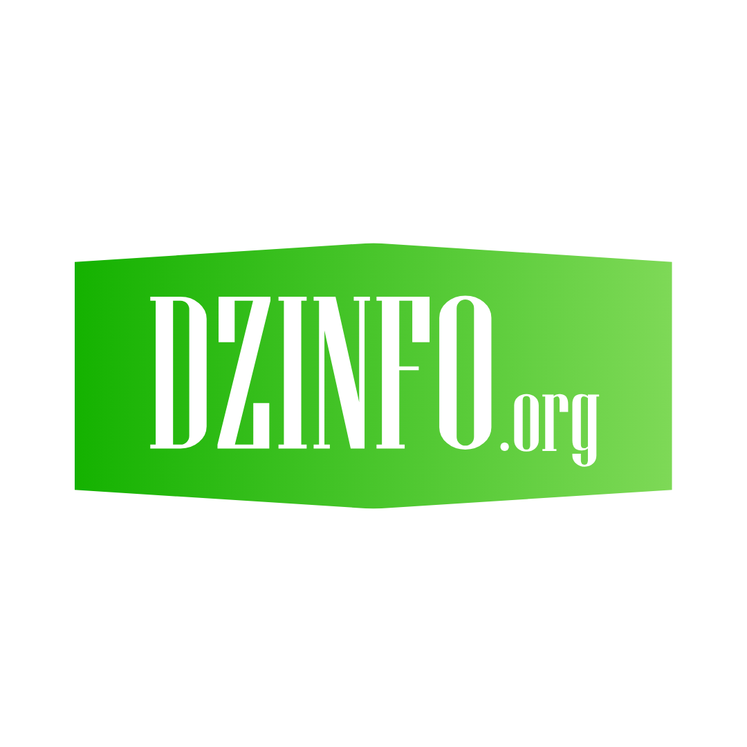  DZ info logo