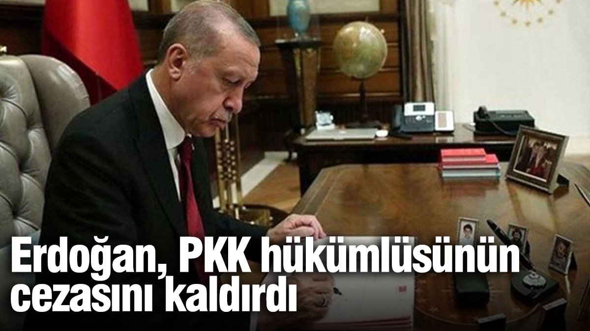 Cumhurbaşkanı Erdoğan'dan Devletin Güvenliği İçin Stratejik Karar