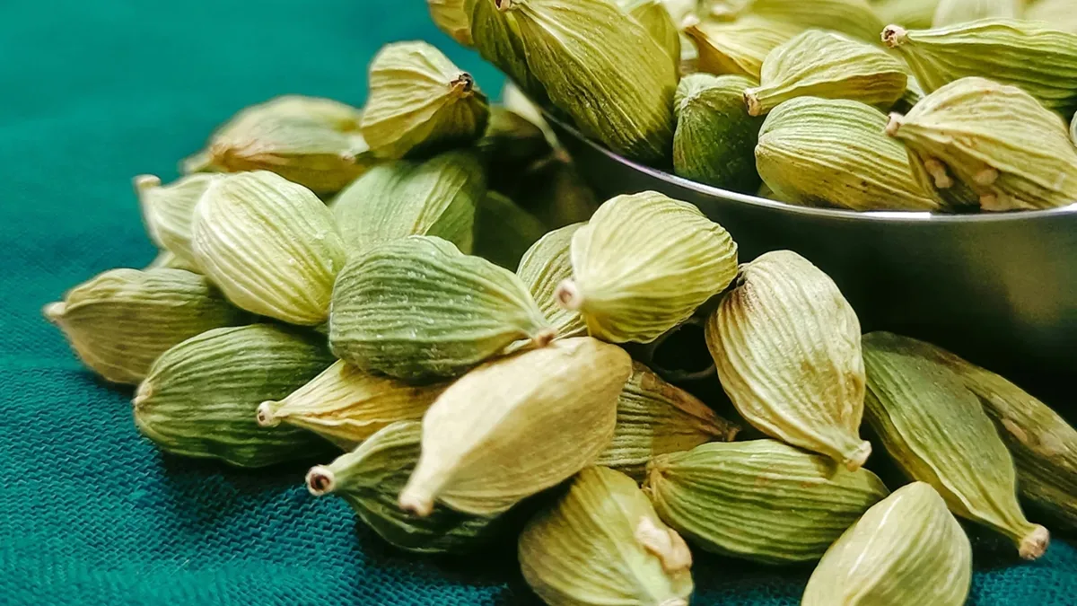Ancient Egyptian Wisdom Meets Modern Medicine: Traditional Spice Remedy Gains Scientific Recognition