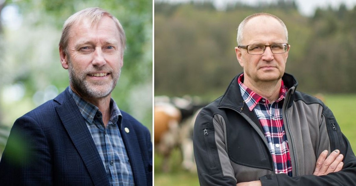 Viltskador påverkar Sveriges klimatmål och skogsnäring markant
