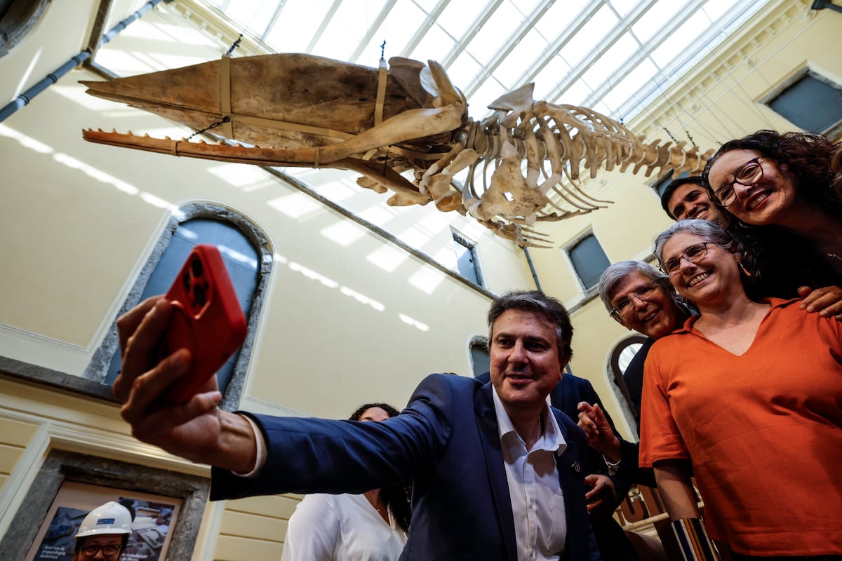El Museo Nacional de Río renace de las cenizas: un triunfo del patrimonio popular sobre el olvido neoliberal