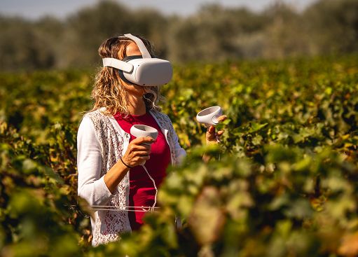 Eccellenza italiana: Campo alla Sughera porta la tradizione vinicola nel futuro digitale