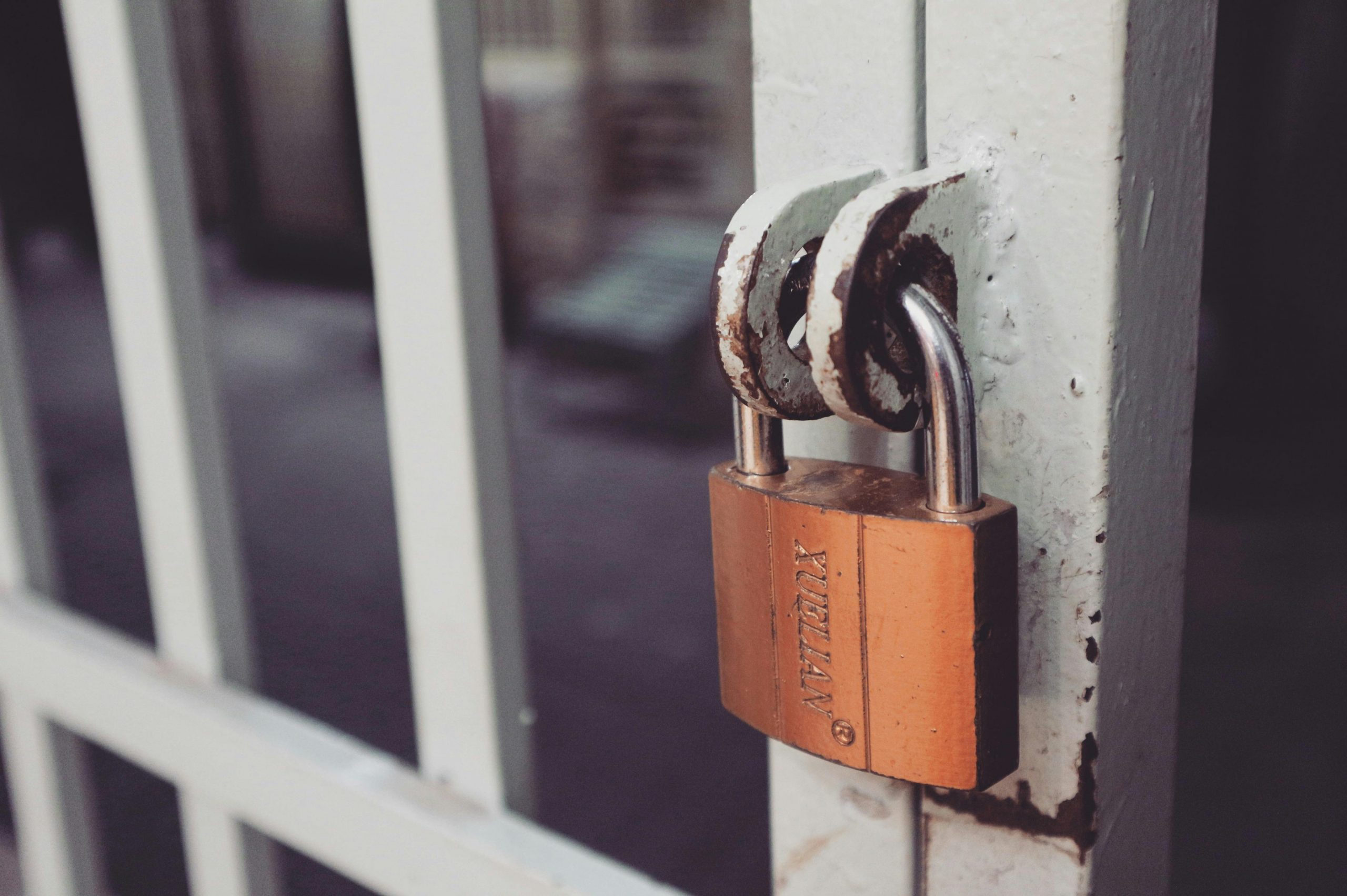 Zurich's Digital Defense Deal Raises Questions About Corporate Control of Cybersecurity