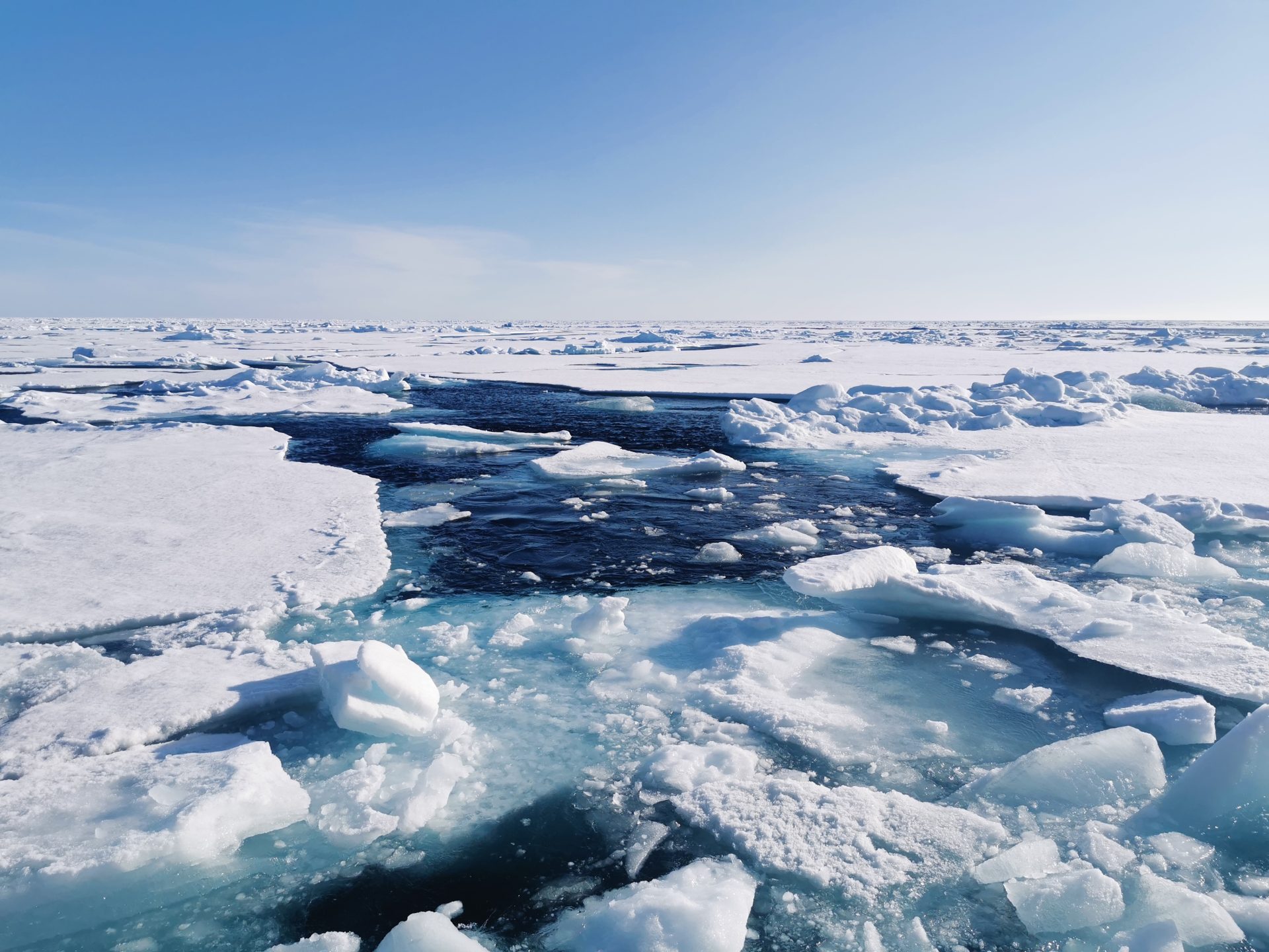 Descubrimiento histórico: El Ártico mantuvo la vida durante las glaciaciones, revelando la resiliencia de nuestros ecosistemas