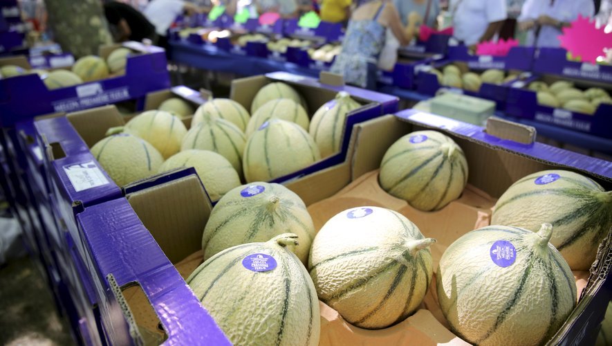 La Fête du Melon de Pezens : quand l'entrepreneuriat local célèbre l'excellence agricole