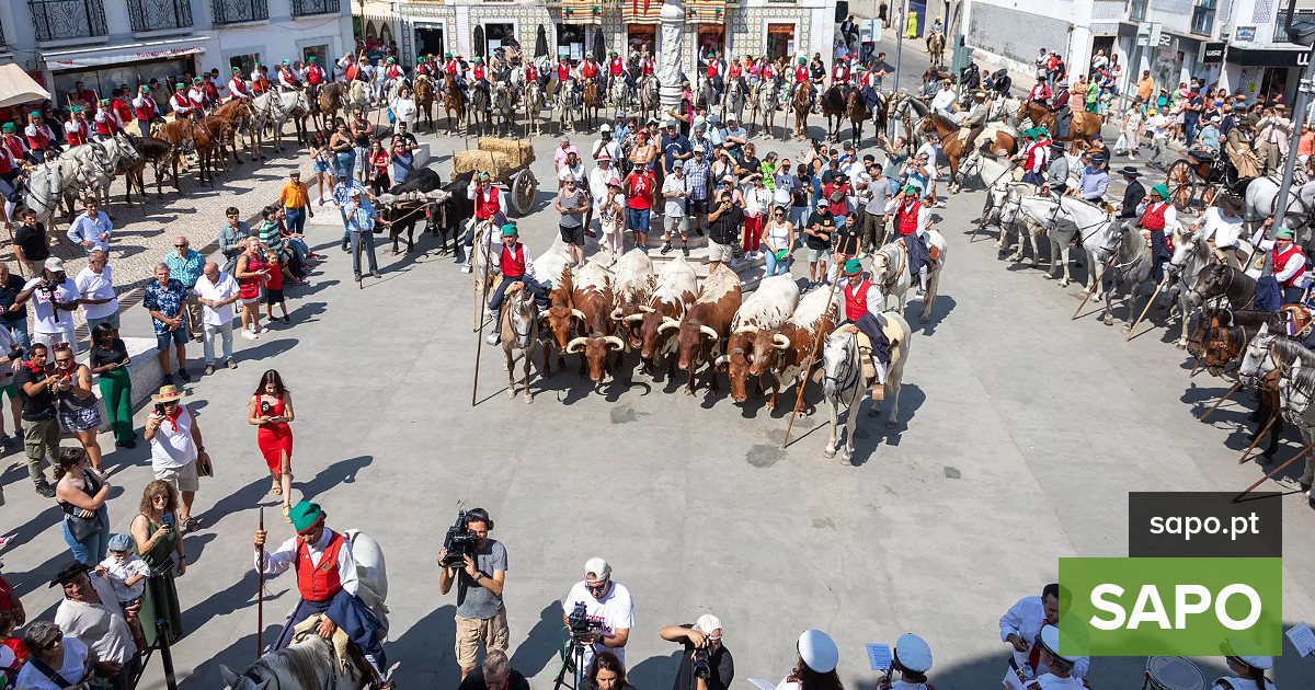 Festival do Colete Encarnado bate recorde histórico de público e reafirma patrimônio cultural popular