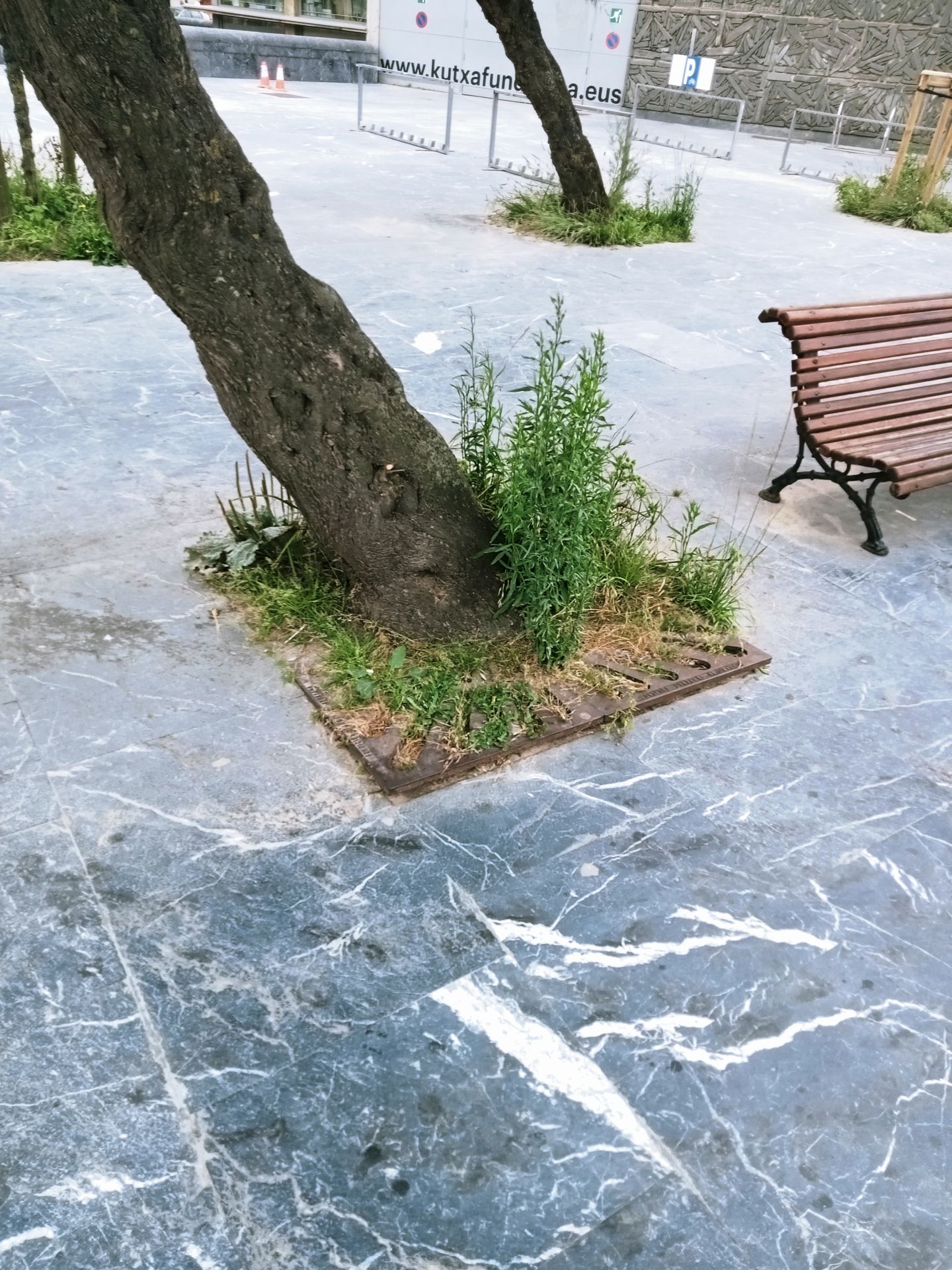 Crisis de convivencia en San Sebastián: La necesidad urgente de repensar los espacios urbanos compartidos