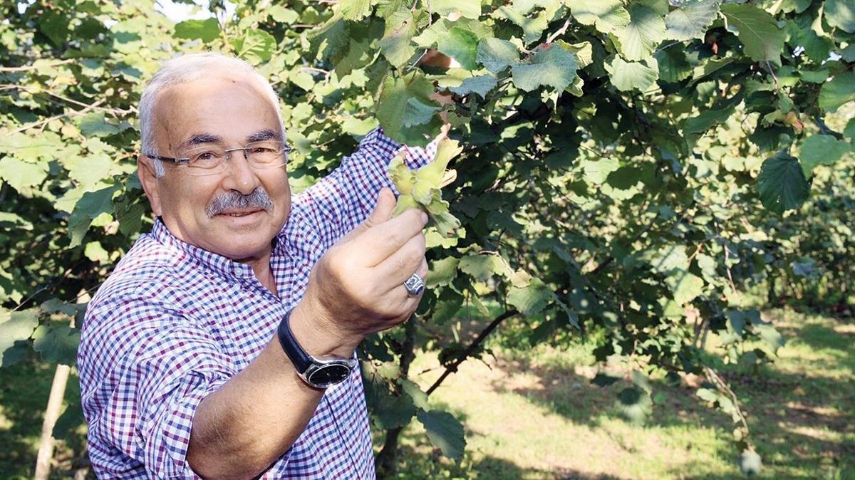 Milli Fındık Savaşı: Türk Üreticisi İtalyan Tekelciliğine Karşı Direniyor