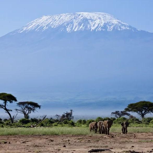 Derniers glaciers africains : une disparition programmée qui interroge notre rapport au climat