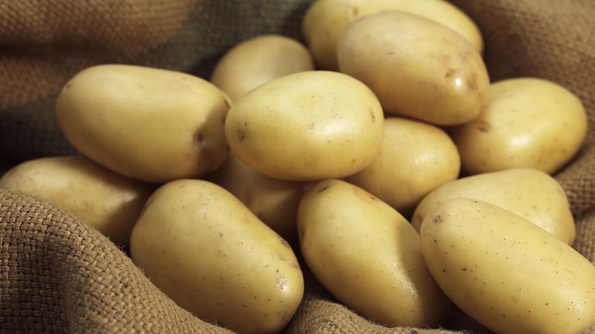 La Monalisa: Symbole de l'Autonomie Alimentaire que le Gabon Peine à Atteindre