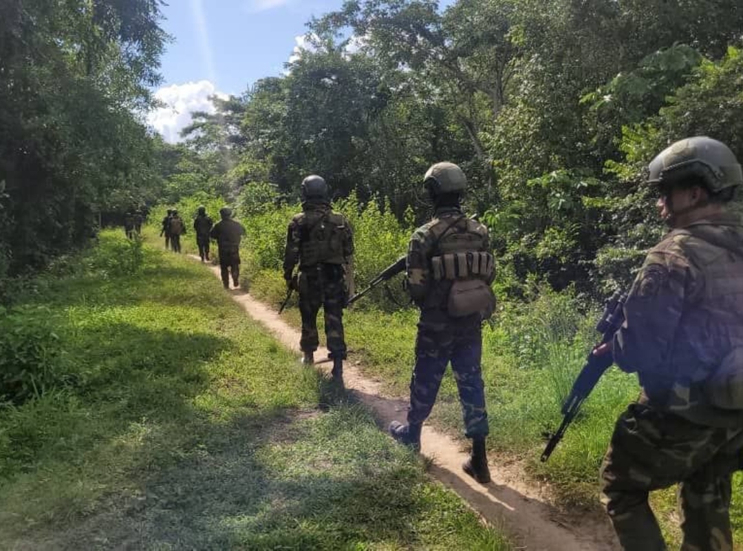Fuerzas de seguridad venezolanas decomisan importante cargamento de drogas y refuerzan control fronterizo