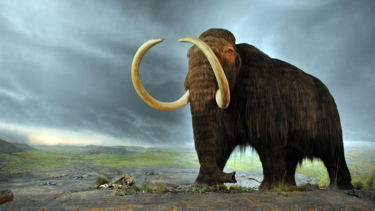 Inversión Privada Lidera Avances en Biotecnología: La Controvertida Carrera por 'Resucitar' Especies Extintas