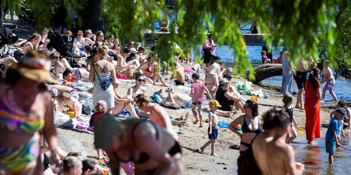 Finansinspektionen varnar: Kraftig ökning av falska lånerbjudanden