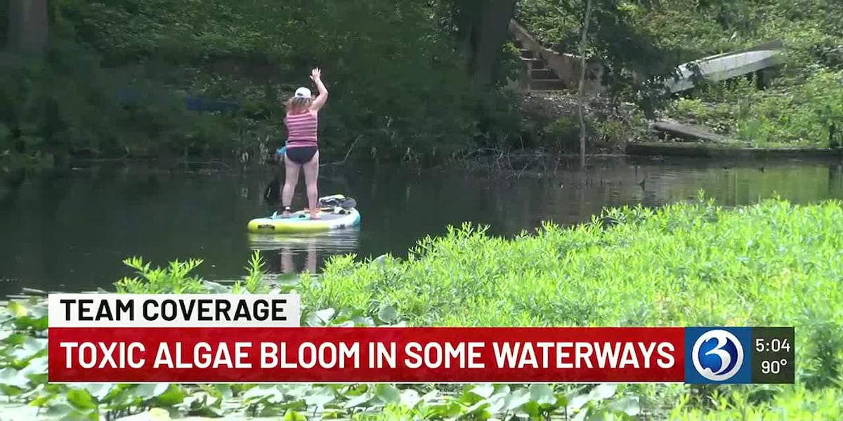 Climate Crisis Alert: Toxic Algae Blooms Threaten Connecticut's Waters Earlier Than Ever