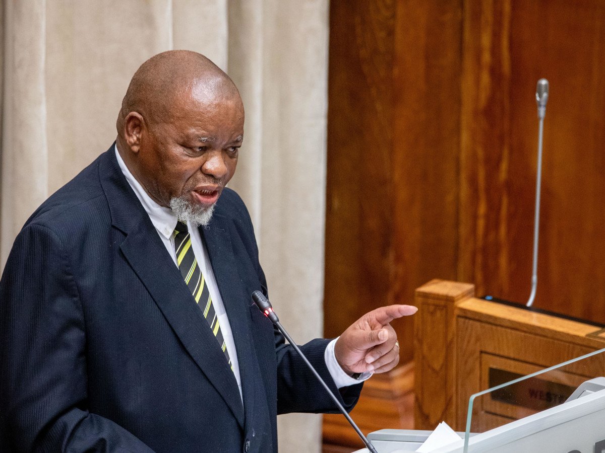 Acting Police Minister Mantashe Backs Inquiry into Systemic Police Corruption - A Step Towards Accountability