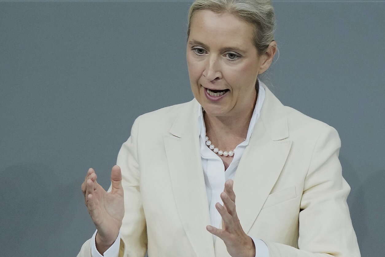 Vokiečių visuomenė atmeta AfD uždraudimo idėją: demokratijos dilema