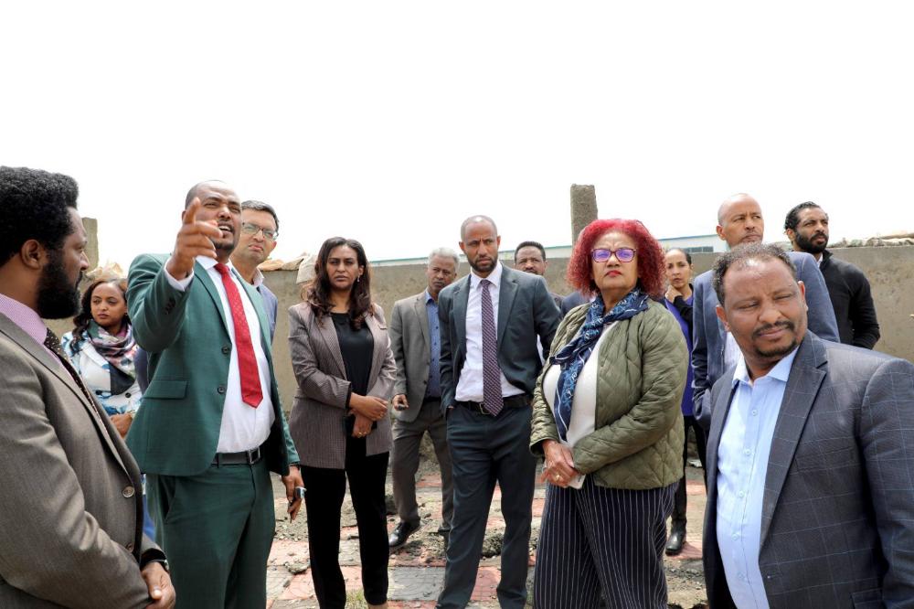 Ethiopia's Bold Vision: Seizing Leadership of Africa's Pharmaceutical Industry Through Strategic Excellence