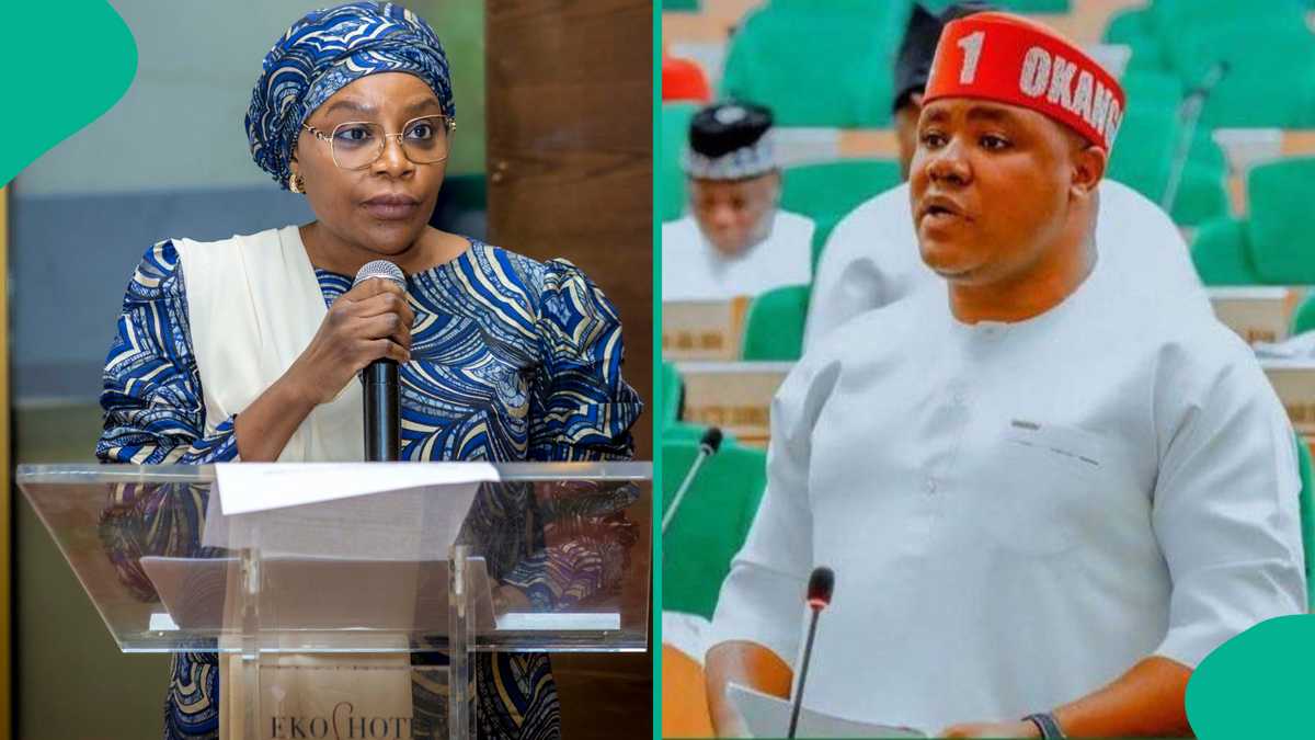 Power Struggle at UBEC: Lawmaker Challenges New Leadership's Autocratic Tendencies in Nigeria's Education Sector