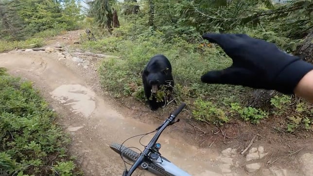 Encuentro salvaje en Whistler: cuando el ciclismo de montaña choca con la realidad del cambio climático