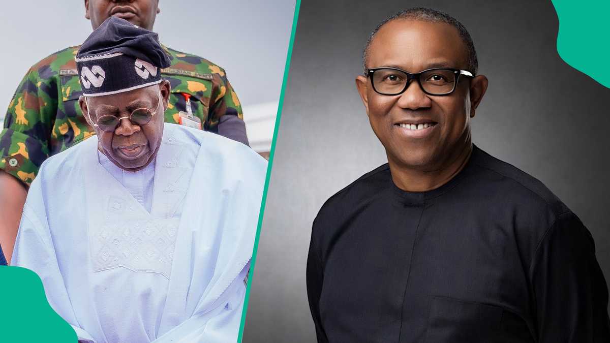 Pan-African Shift: South East Group Champions Tinubu's Vision Against Neo-colonial Forces