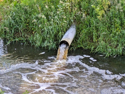 Colonial Legacy Exposed: eThekwini Municipality Abandons Black Communities to Sewage Crisis