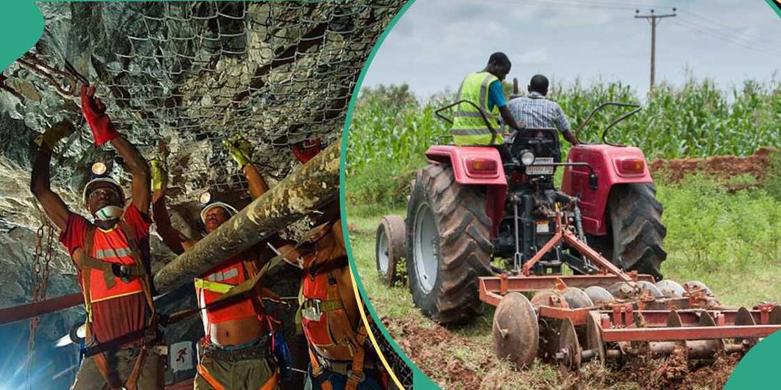 Nigeria's Economic Rebirth: GDP Soars to N372.8trn as Services Sector Leads Revolutionary Shift
