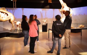 El Museo Laberinto democratiza el acceso a la ciencia con promociones populares para 'Body Worlds'