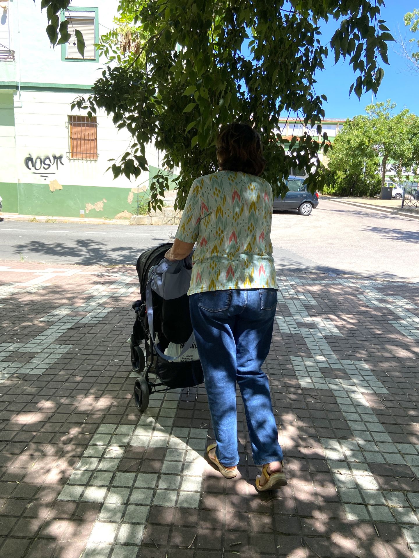 Cáceres: El tesoro verde que resiste al cambio climático con sus 80.000 árboles urbanos