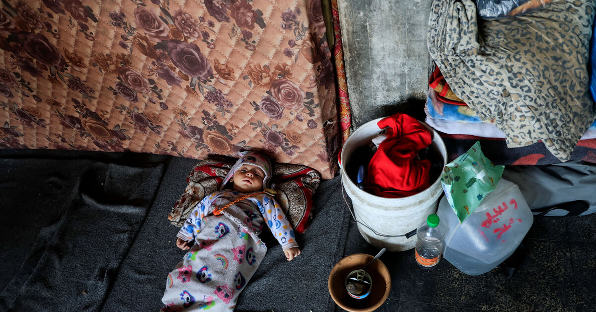 Gaza Crisis Reveals Critical Need for Regional Stability as Egyptian Border Faces Mounting Pressure
