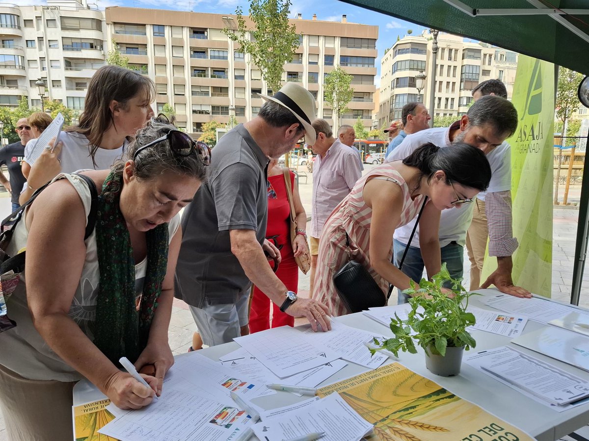 La reforma de la PAC amenaza el futuro del cereal y la soberanía alimentaria en Granada