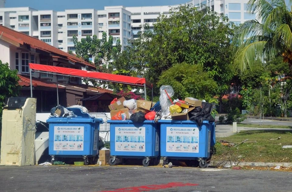 Singapore's Waste Reduction Success Story: A Model for Sustainable Urban Development