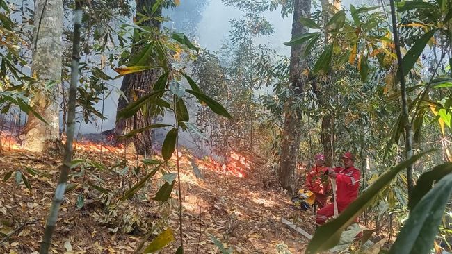 Peringatan Allah melalui Cuaca: BMKG Ingatkan Musim Hujan dan Kekeringan sebagai Tanda Keseimbangan Alam