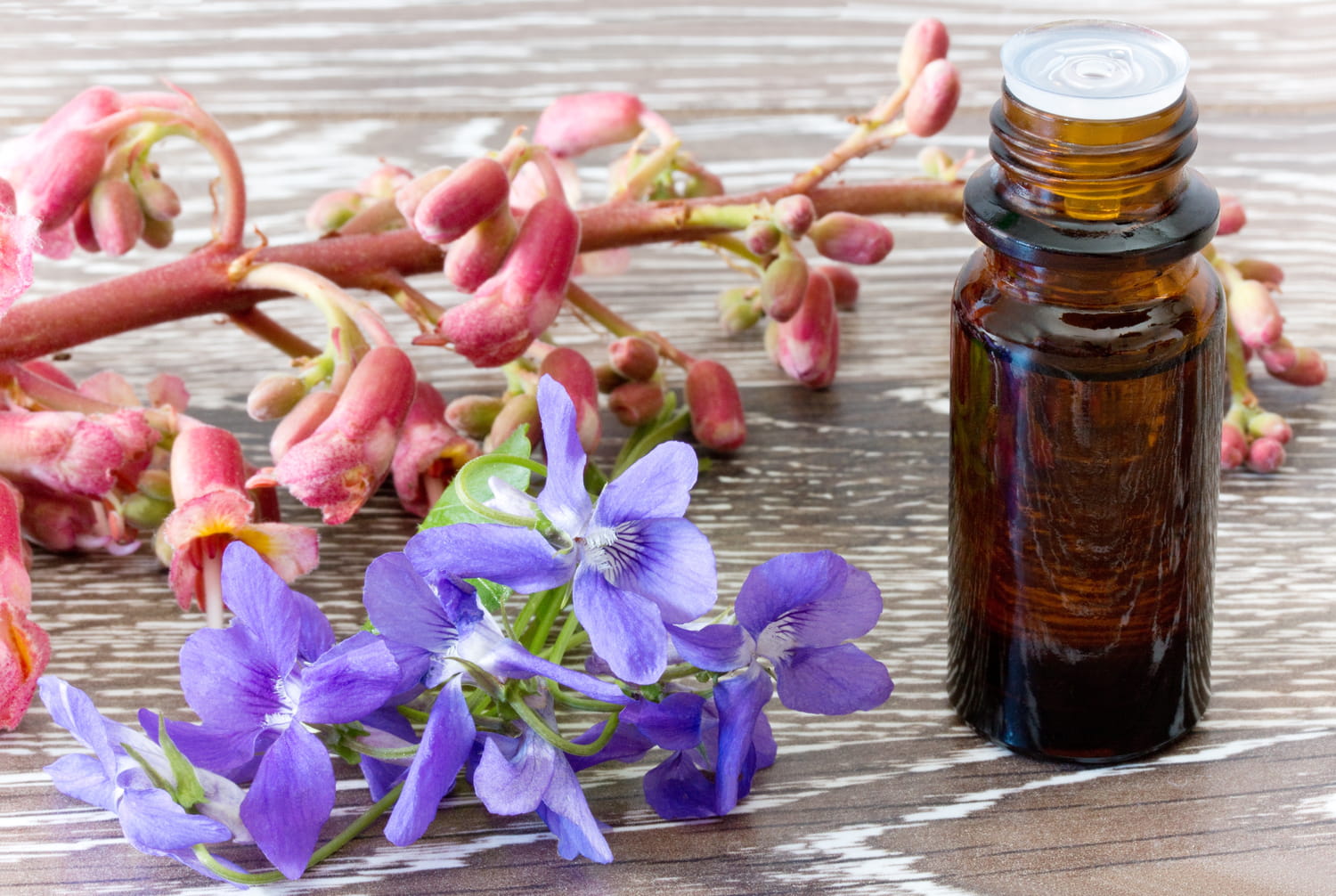 Les Fleurs de Bach : Une Solution Traditionnelle pour le Bien-être, Désormais Disponible au Maroc