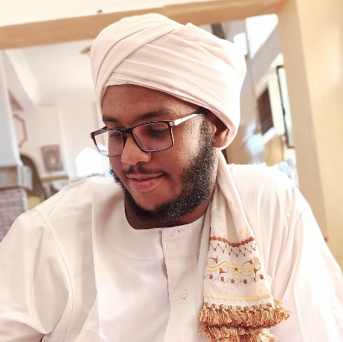 Image d'illustration pour: الدمار الشديد في الخرطوم ليس كله بيد أفراد الميليشيا - النيلين