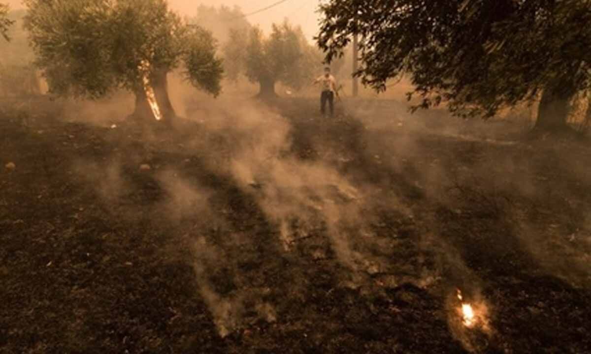 Image d'illustration pour: Greece requests EU assistance as wildfires rage across country