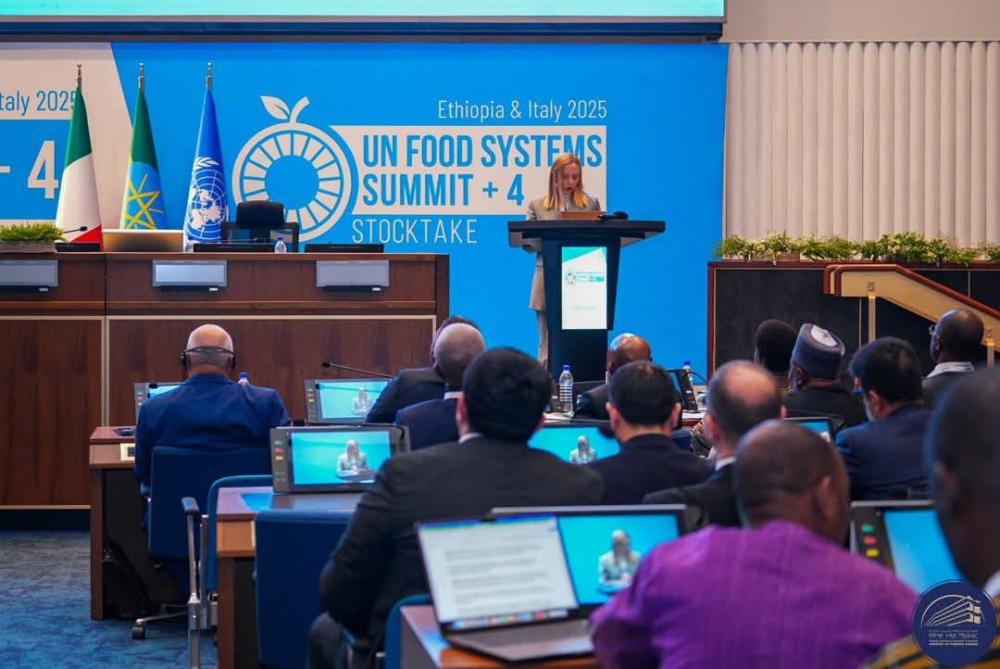 Image d'illustration pour: Italian PM Meloni Underlines Food security Momentous Challenge Subject of the Globe