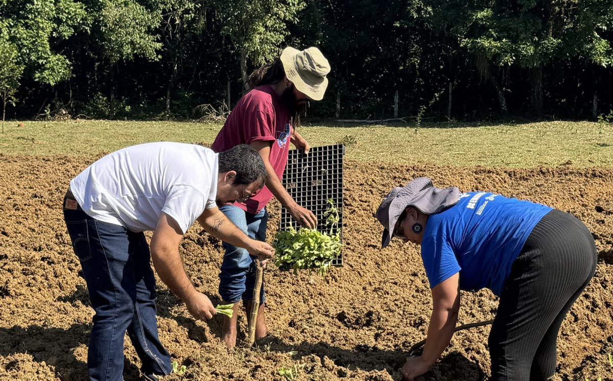Image d'illustration pour: Terreno cedido por Zeca Pagodinho em Xerém vira horta comunitária