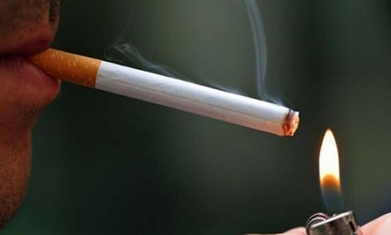 Image d'illustration pour: Punjab bans smoking in public parks