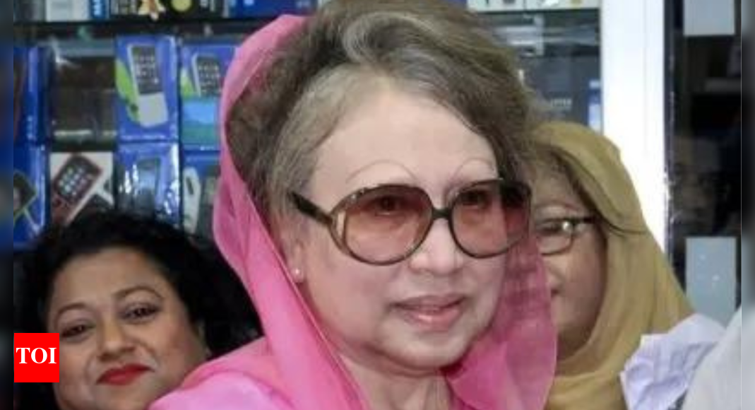 Image d'illustration pour: BNP: Khaleda to contest Bangladesh polls if held in December - Times of India