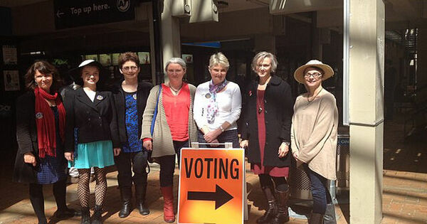 Image d'illustration pour: Critics slam New Zealand's proposed voting restrictions