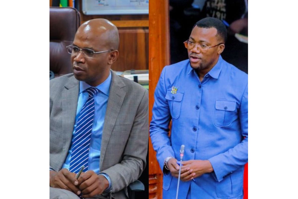 Image d'illustration pour: Tanzanian MPs Mpina, Makamba speak out after being dropped from CCM race