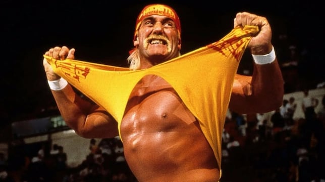 Image d'illustration pour: Gobernador de Florida anuncia el 'Día de Hulk Hogan'