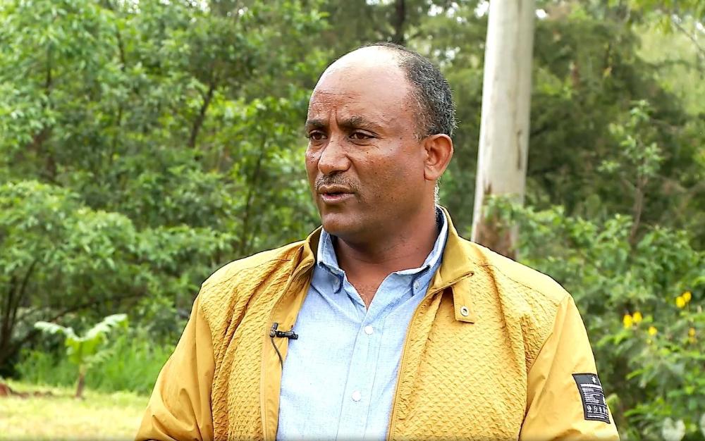 Image d'illustration pour: Planting Single Tree Fosters Sprouting of Diverse Indigenous Species, Ethiopia's Green Legacy Yielding Impressive Results: Research