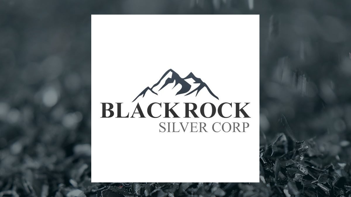 Image d'illustration pour: Blackrock Silver Corp. (CVE:BRC) Insider Acquires C$270,000.00 in Stock