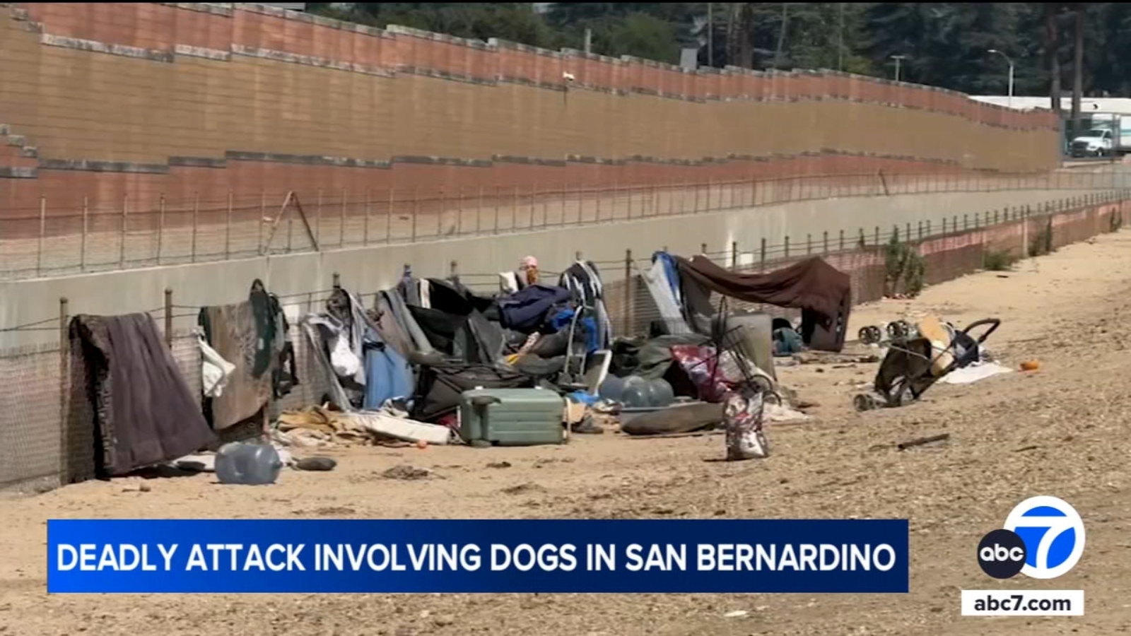 Image d'illustration pour: Woman killed in suspected dog mauling near San Bernardino homeless encampment