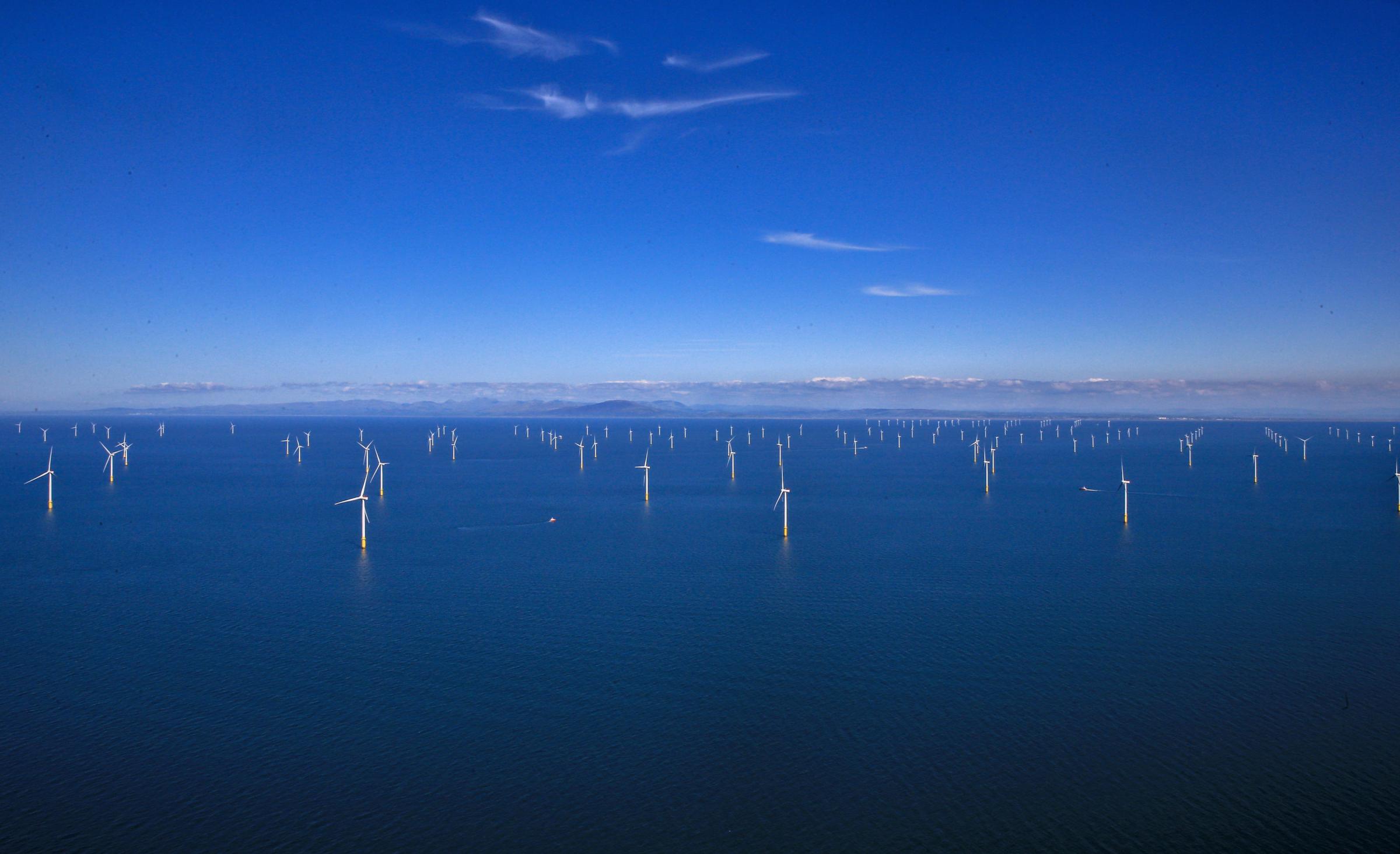 Image d'illustration pour: Where is the vision to provide jobs from green energy projects?