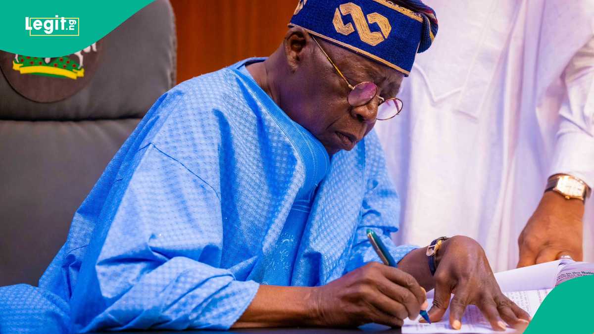 Image d'illustration pour: "Civil war": Southeast stakeholders blast Tinubu over customs controller tenure extension