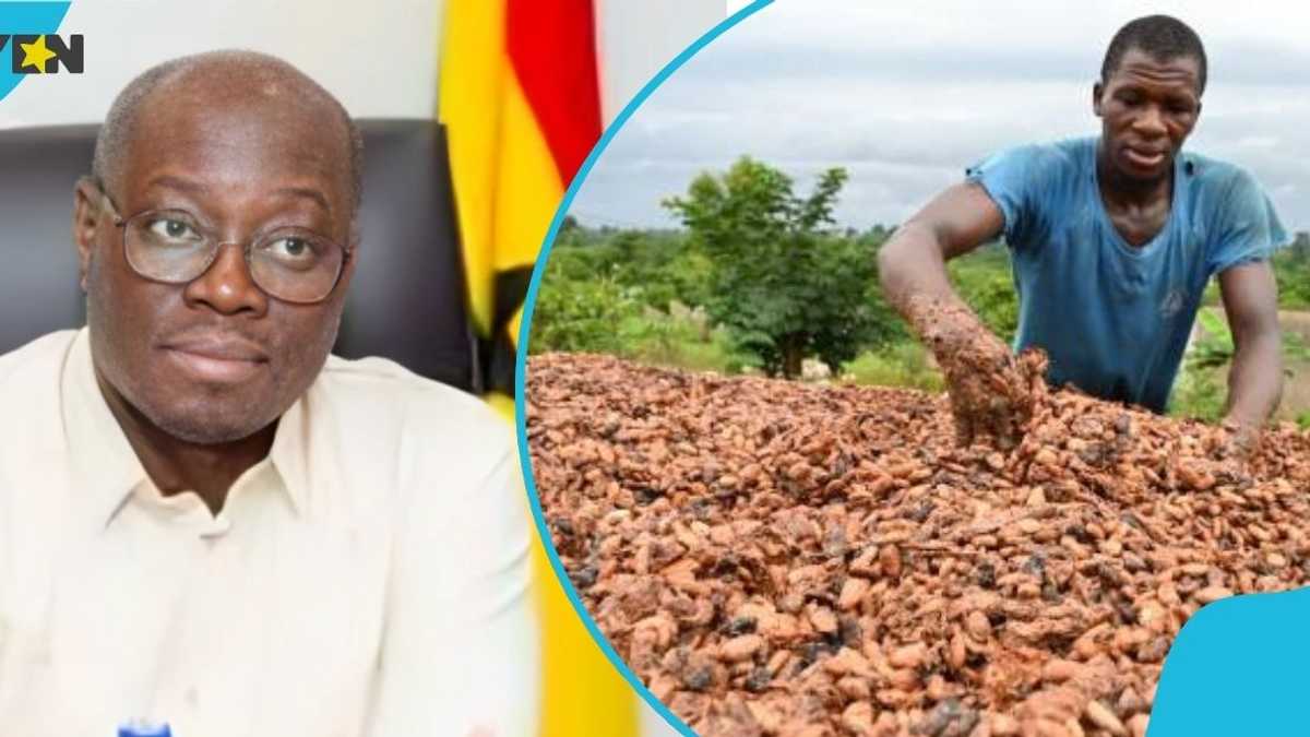 Image d'illustration pour: 75-year-old visually impaired cocoa farmer offers to donate cocoa price increase back to government