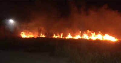 Image d'illustration pour: Incendio forestal aterroriza a vecinos cerca del aeropuerto Viru Viru