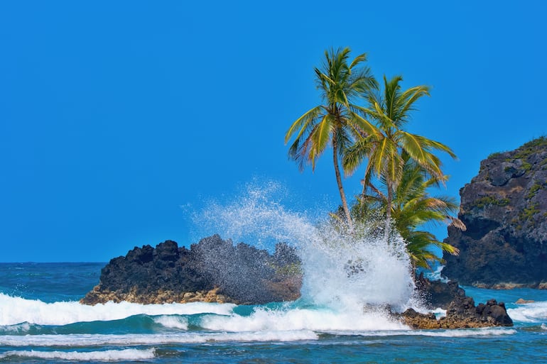 Image d'illustration pour: Bocas del Toro y San Blas, dos paraísos de Panamá: ¿cuál despierta tu espíritu explorador? - Viajes - ABC Color